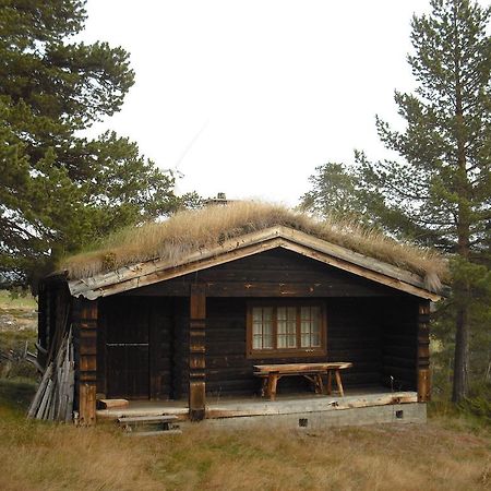 Lusaeter Timber Cabins Heidal 部屋 写真