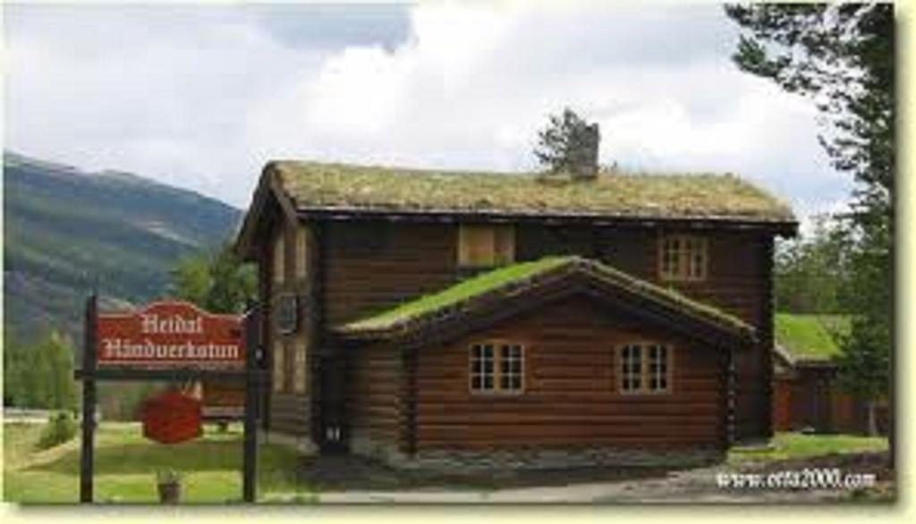 Lusaeter Timber Cabins Heidal エクステリア 写真