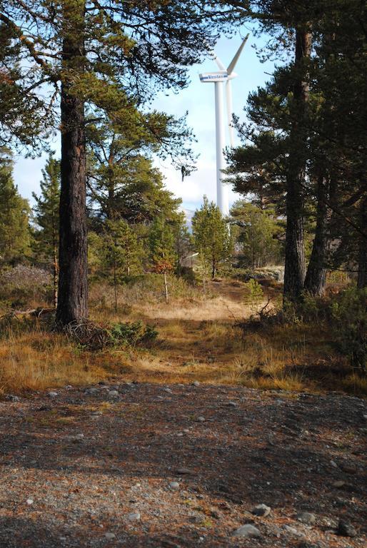 Lusaeter Timber Cabins Heidal エクステリア 写真